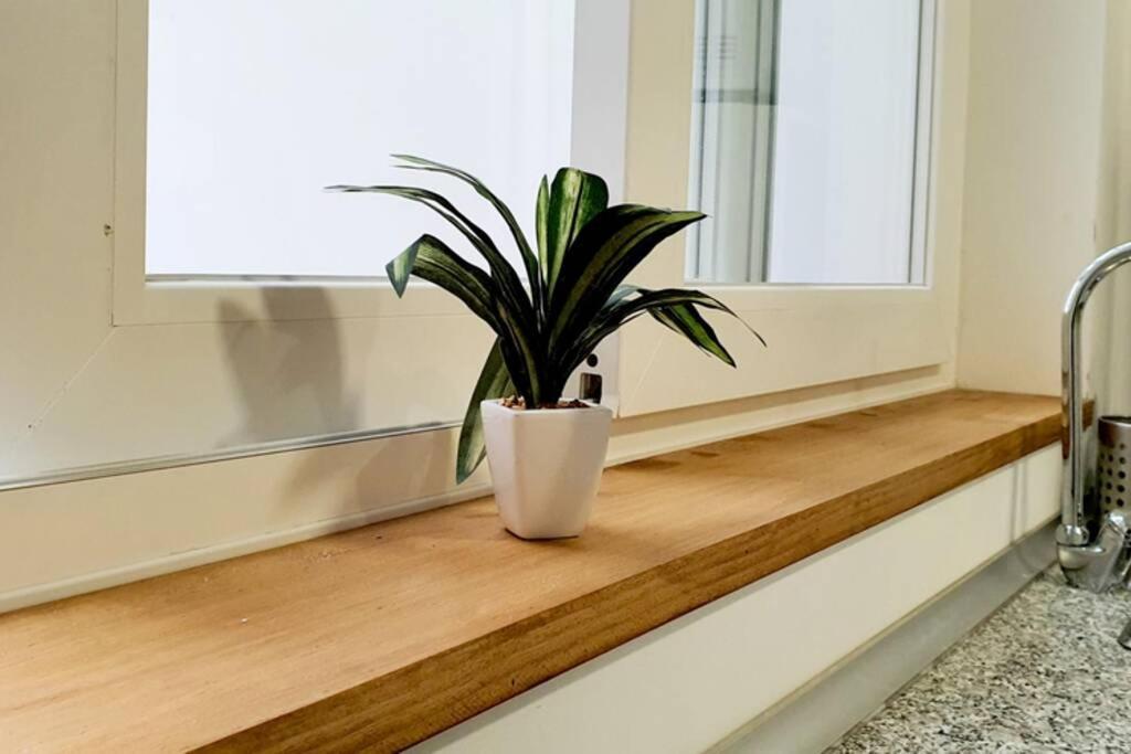 Apartamento Interior En Absoluto Centro En Algeciras 1º A מראה חיצוני תמונה